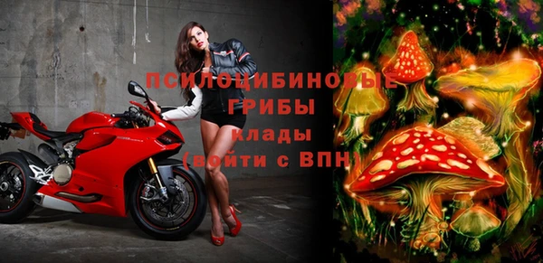 бошки Надым