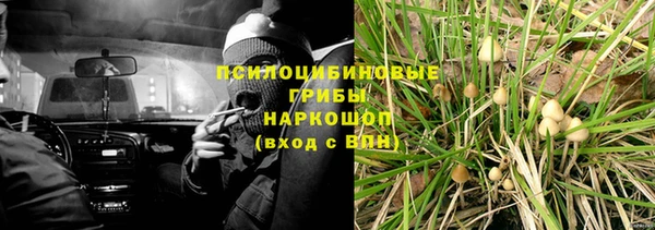 бошки Надым