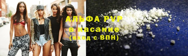 ПСИЛОЦИБИНОВЫЕ ГРИБЫ Нея