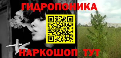 прущие грибы Абакан