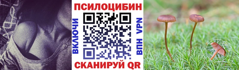 KRAKEN сайт  Новозыбков  Псилоцибиновые грибы MAGIC MUSHROOMS  цена  