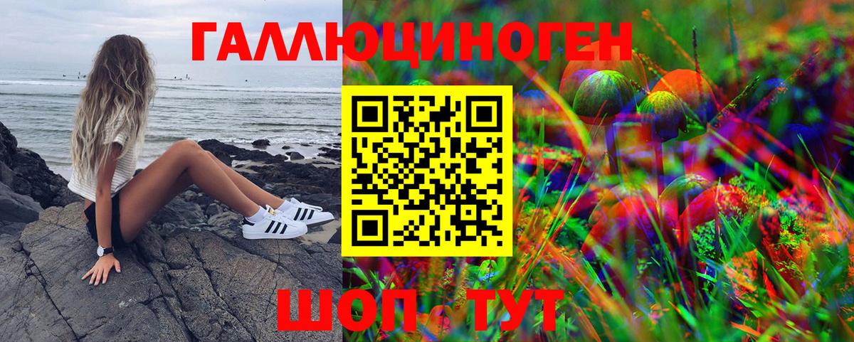 Галлюциногенные грибы Cubensis  Псилоцибиновые грибы Cubensis  Новозыбков 