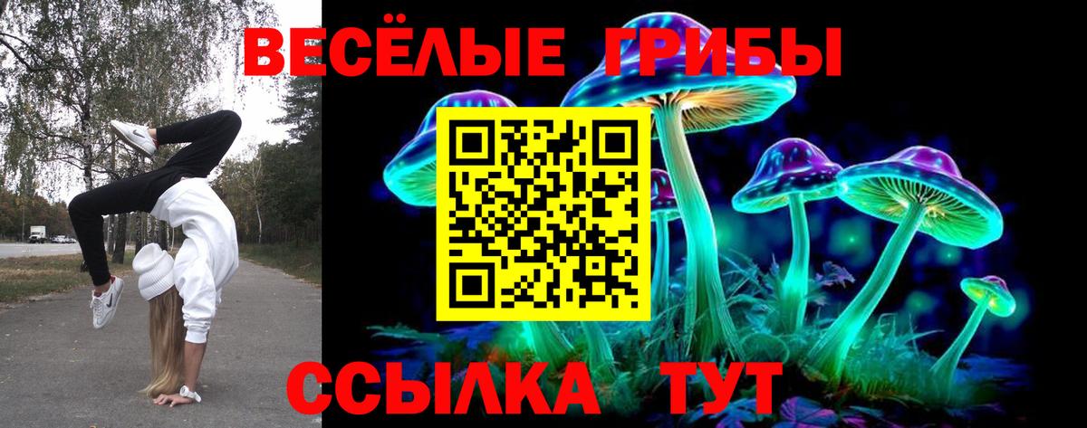 Новозыбков  Галлюциногенные грибы MAGIC MUSHROOMS  купить наркоту  Вход с VPN 