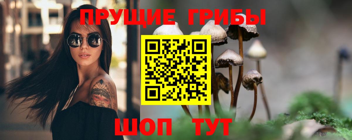 Галлюциногенные грибы мицелий Новозыбков